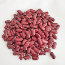 On Sale Dark Red Kidney Beans For Europe